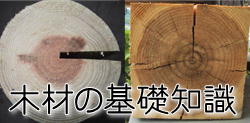 木材の基礎知識